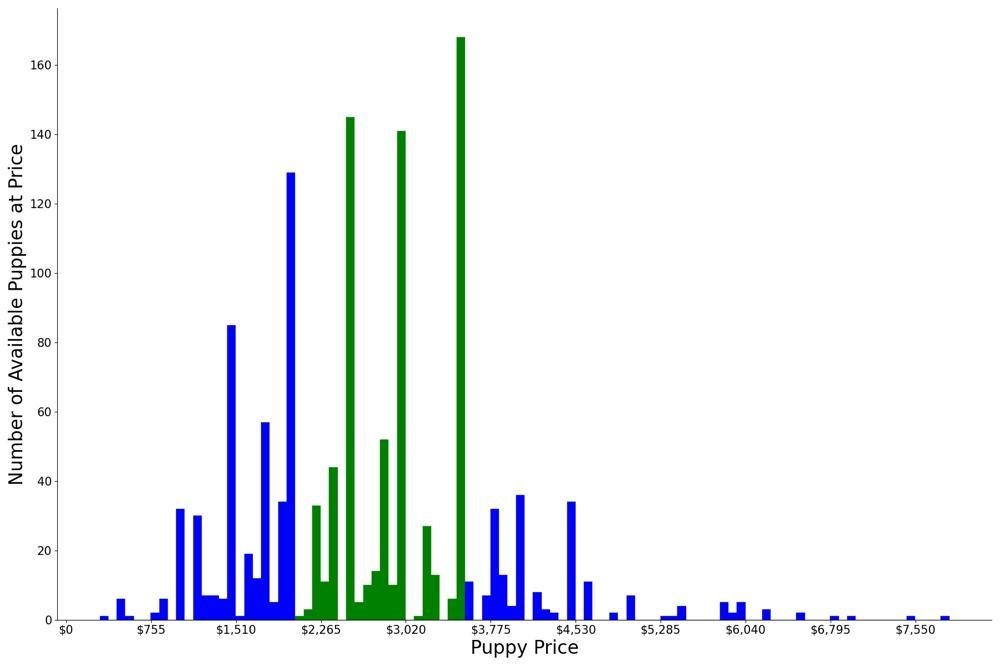 A breakdown of the prices of Bernedoodles