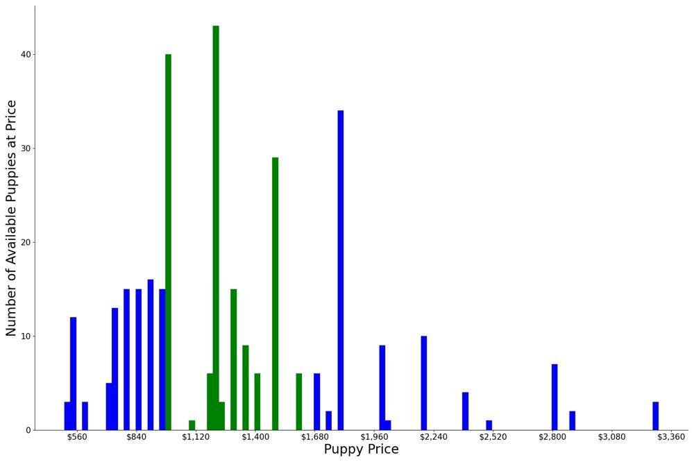 A breakdown of the prices of English Springer Spaniels