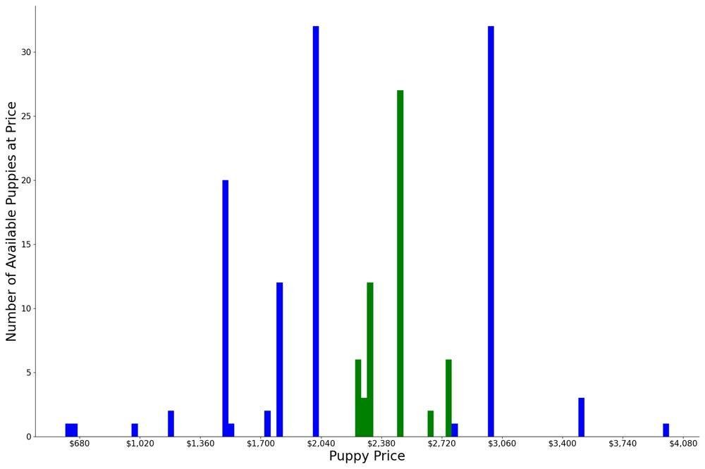 A breakdown of the prices of Giant Schnauzers