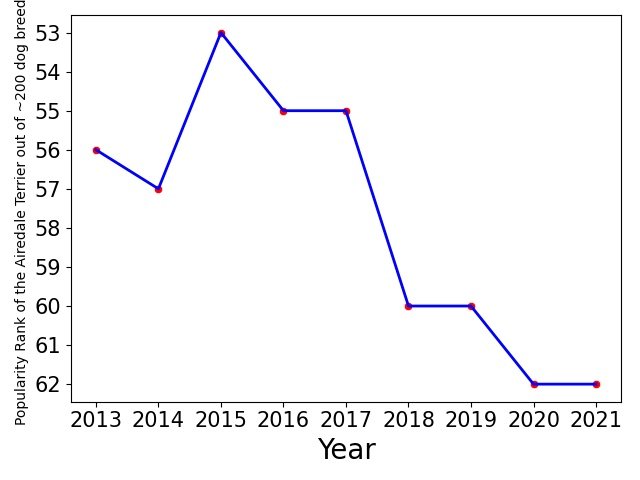 Popularity of Airedale Terrier