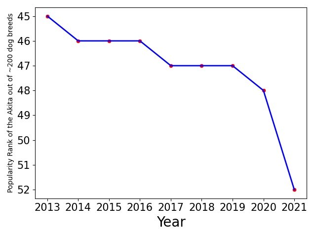 Popularity of Akita