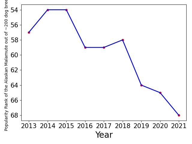 Popularity of Alaskan Malamute