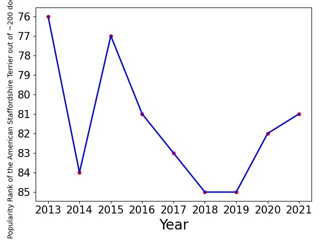 Popularity of American Staffordshire Terrier