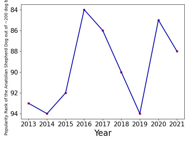Popularity of Anatolian Shepherd Dog