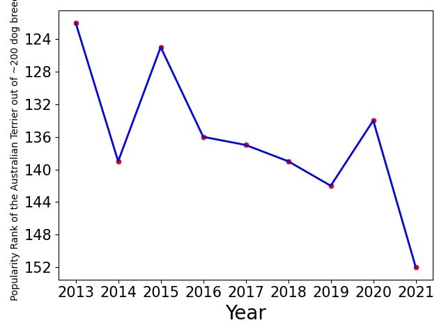 Popularity of Australian Terrier