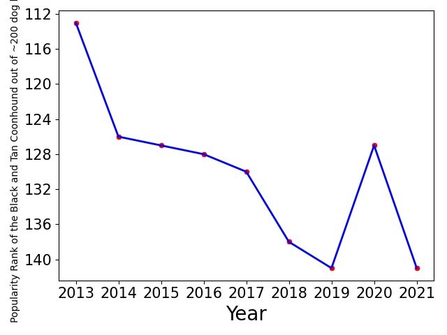 Popularity of Black and Tan Coonhound