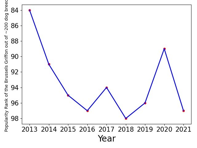 Popularity of Brussels Griffon