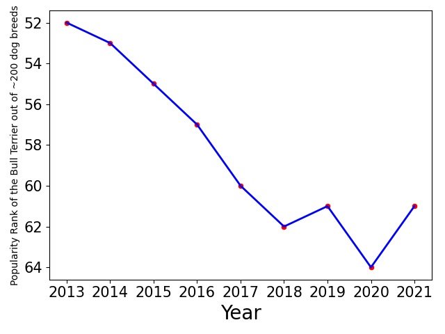 Popularity of Bull Terrier