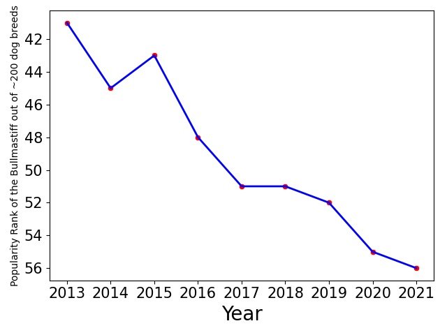 Popularity of Bullmastiff