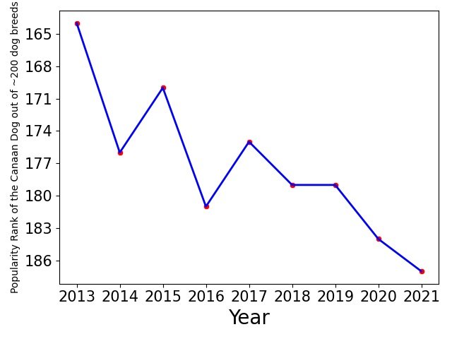 Popularity of Canaan Dog
