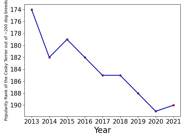 Popularity of Cesky Terrier