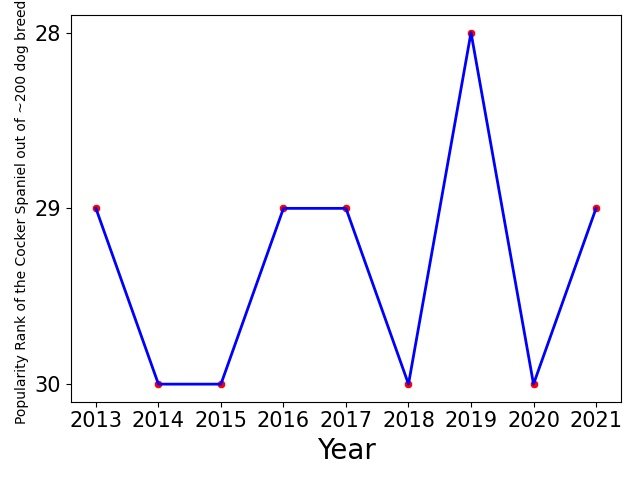 Popularity of Cocker Spaniel