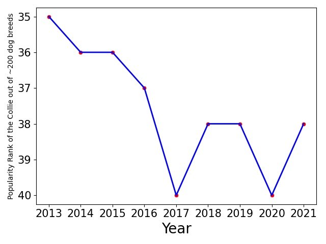 Popularity of Collie