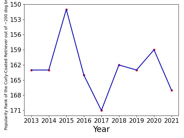 Popularity of Curly-Coated Retriever