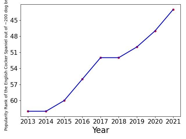 Popularity of English Cocker Spaniel