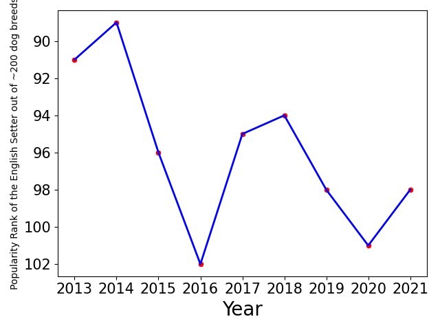Popularity of English Setter