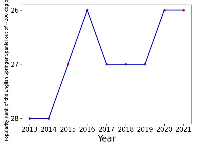 Popularity of English Springer Spaniel