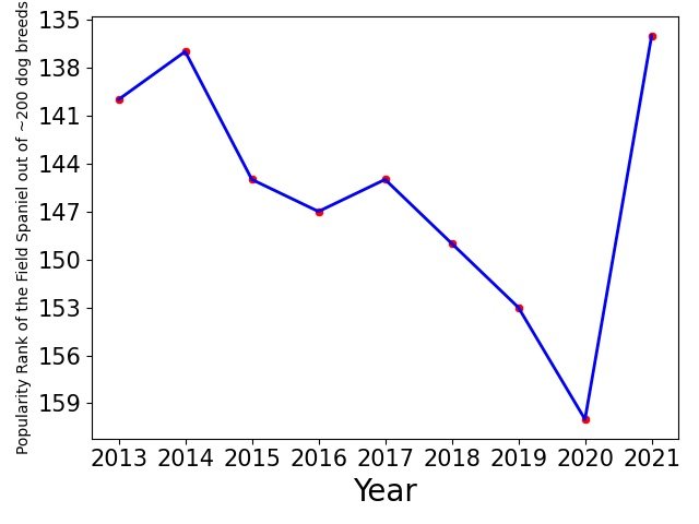 Popularity of Field Spaniel