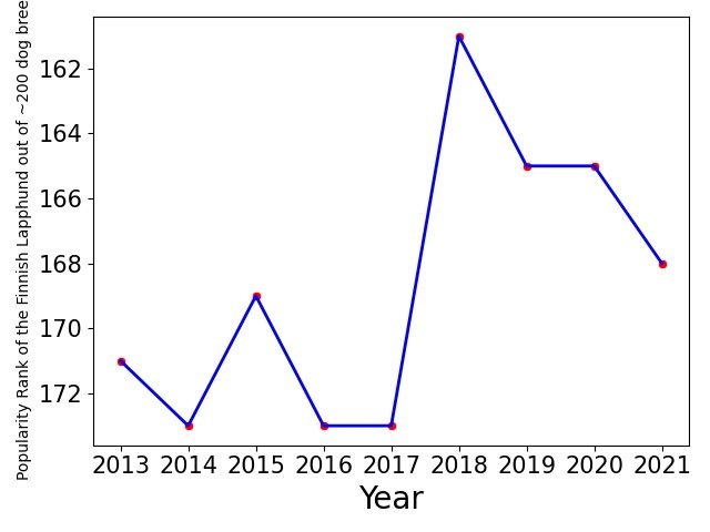 Popularity of Finnish Lapphund