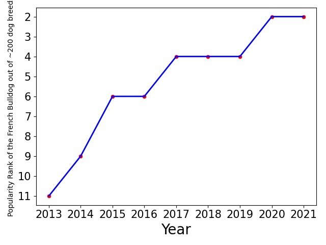 Popularity of French Bulldog