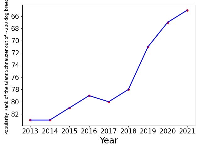 Popularity of Giant Schnauzer