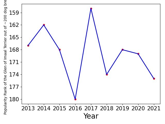 Popularity of Glen of Imaal Terrier