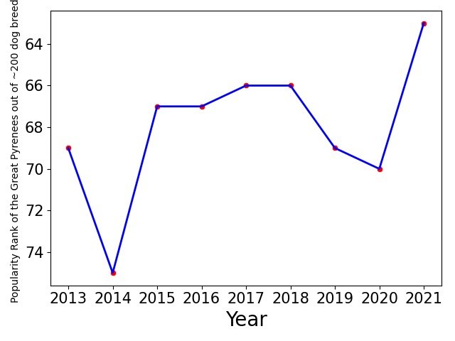 Popularity of Great Pyrenees