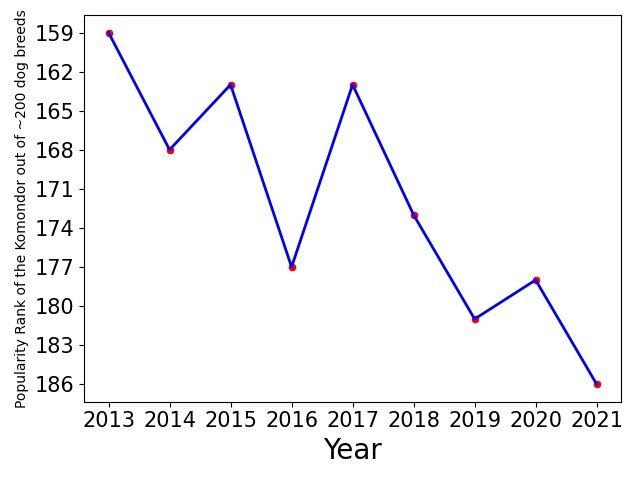 Popularity of Komondor