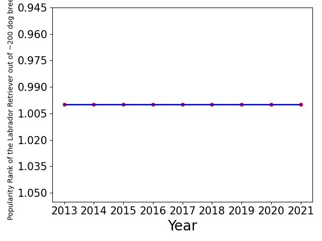 Popularity of Labrador Retriever