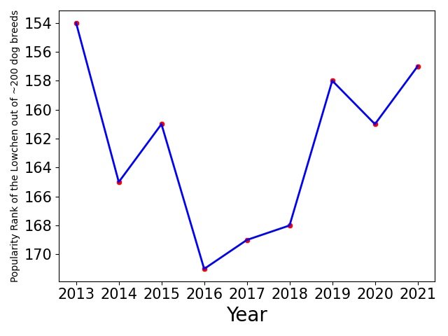 Popularity of Lowchen