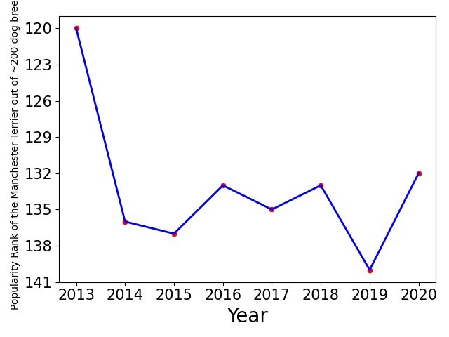 Popularity of Manchester Terrier