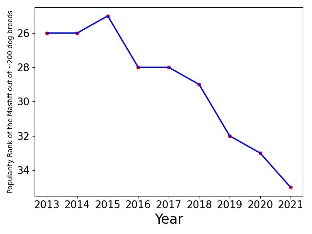 Popularity of Mastiff