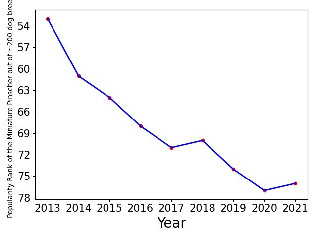 Popularity of Miniature Pinscher