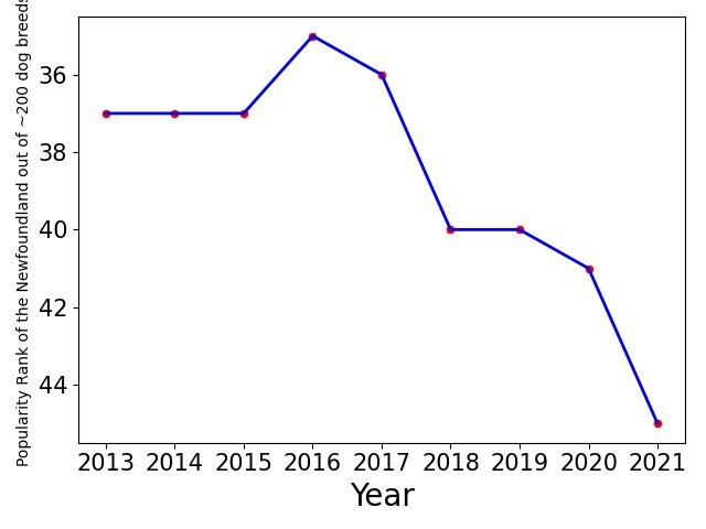 Popularity of Newfoundland