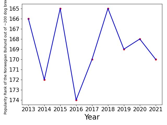 Popularity of Norwegian Buhund