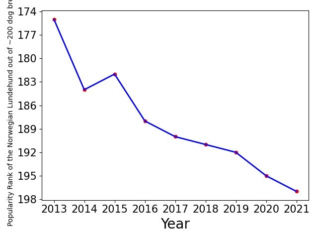 Popularity of Norwegian Lundehund
