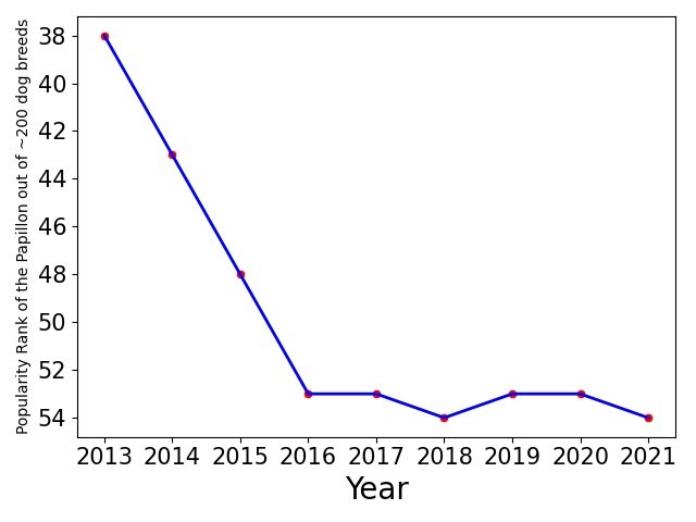 Popularity of Papillon