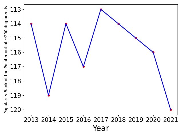 Popularity of Pointer