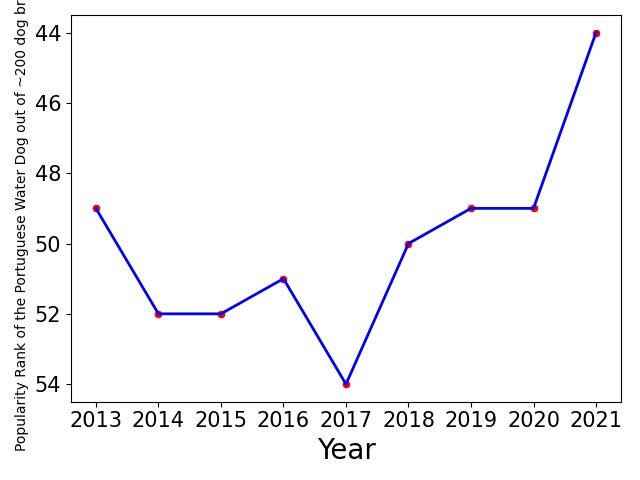 Popularity of Portuguese Water Dog