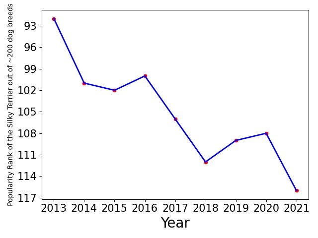 Popularity of Silky Terrier