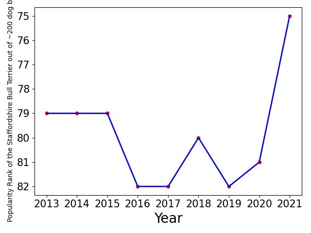 Popularity of Staffordshire Bull Terrier