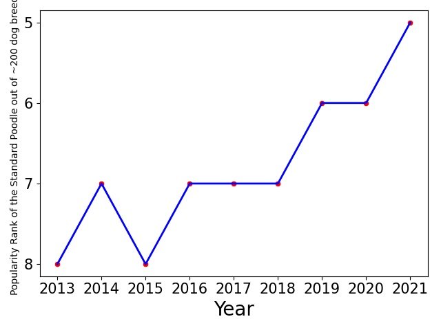 Popularity of Standard Poodle