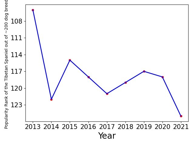 Popularity of Tibetan Spaniel