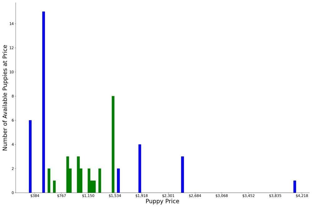 A breakdown of the prices of Maremma Sheepdogs