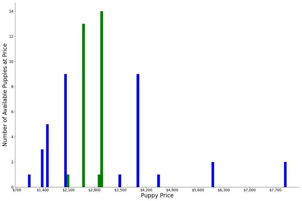 A breakdown of the prices of Tibetan Mastiffs