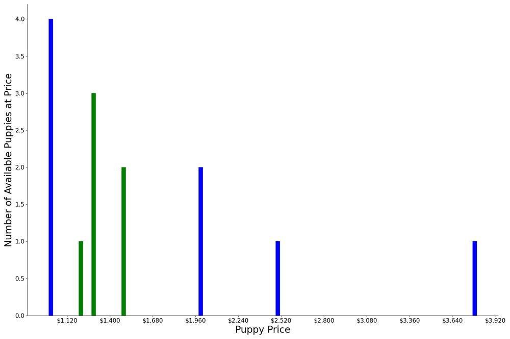 A breakdown of the prices of Tibetan Spaniels