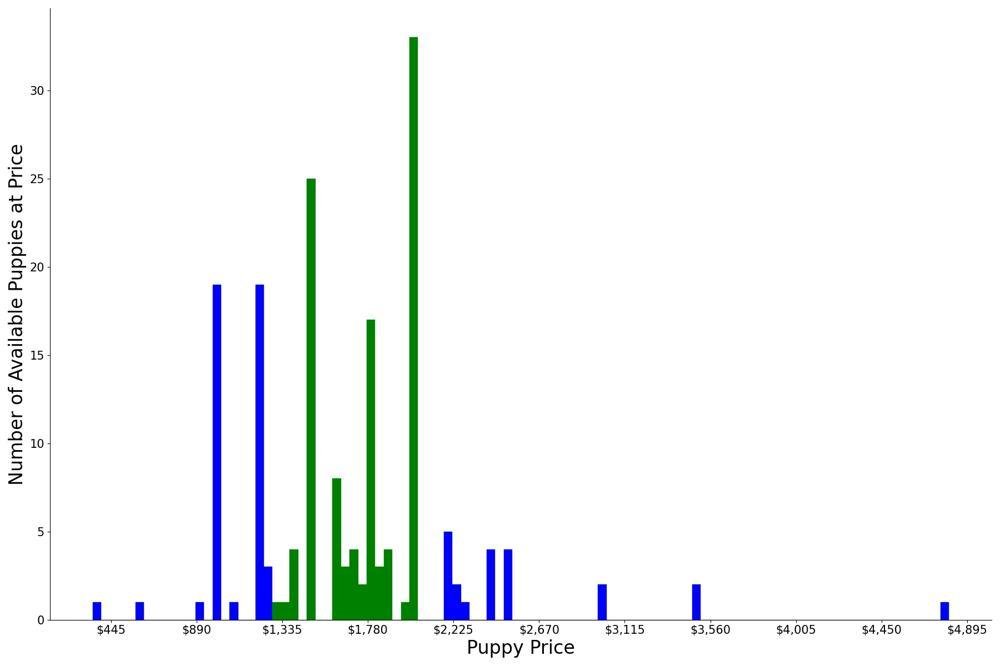 A breakdown of the prices of Vizslas